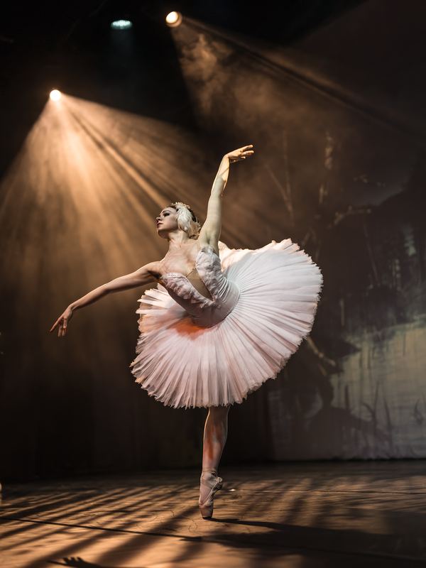 Galerie Danse